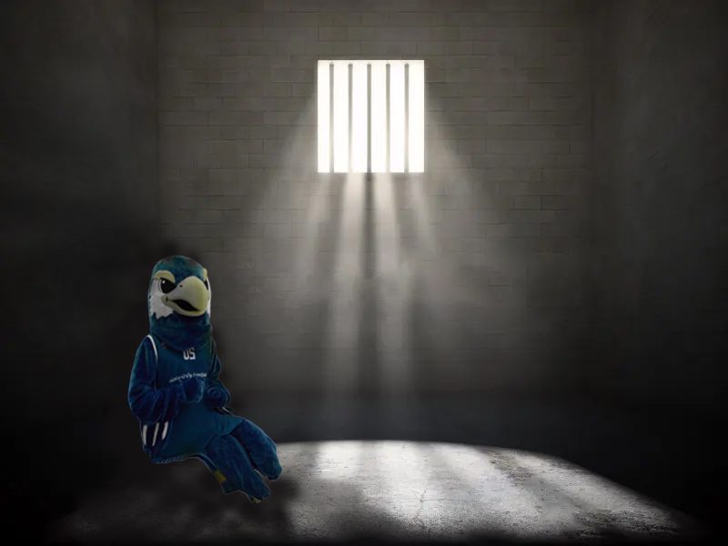Stool pigeon — Ernie caught having a bit of fun