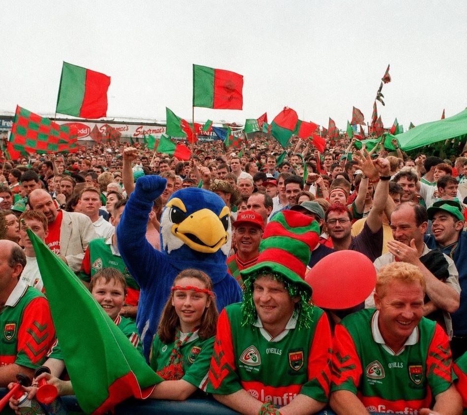Ernie flying the flag for Mayo
